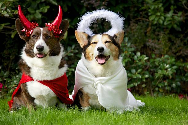 Halloween Costume Contest at Wag 'N' Tails